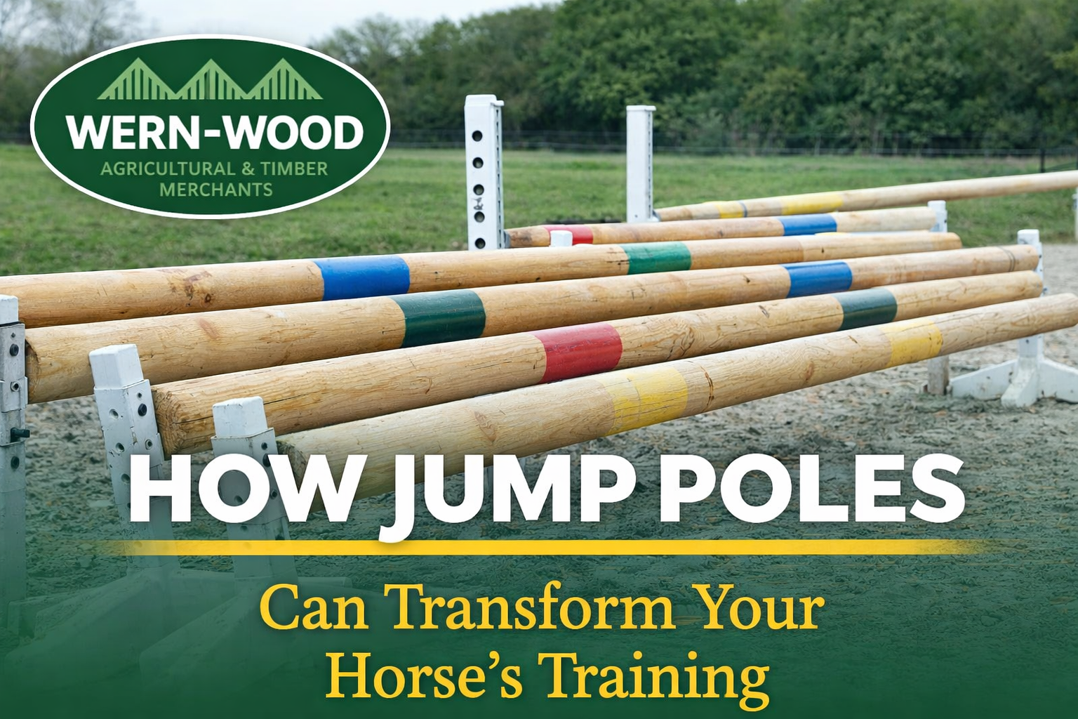 How Jump Poles Can Transform Your Horse’s Training and Performance