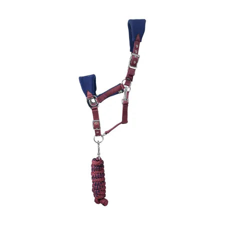 HY Event Pro Head Collar & Lead Rope Set - Wern-wood