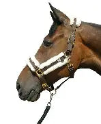 HY Sheepskin Headcollar - Wern-wood