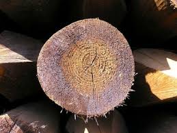 Creosote Treated Round Agricultural Gate Posts