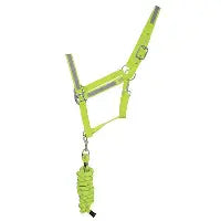 Reflector Head Collar & Lead Rope Set - Wern-wood