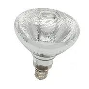 100W PAR Hard Glass Clear Bulb