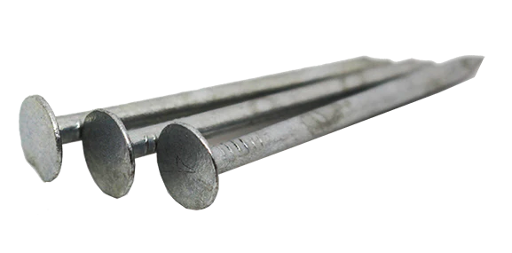Galvanised Clout Nails
