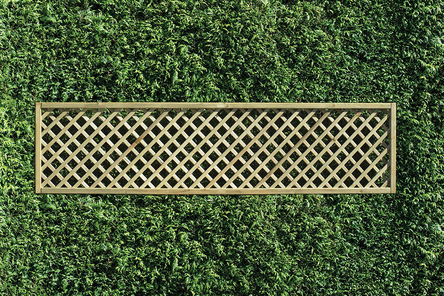 Pressure treated rectangular diamond lattice trellis, DT8, 450mm high x 1830mm wide