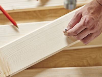 Consectetur adipiscing elit