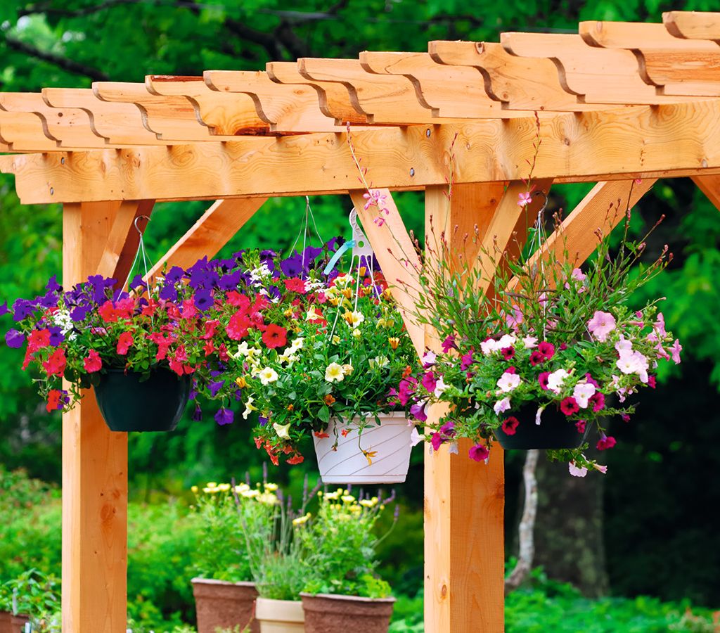 Pergola Kits