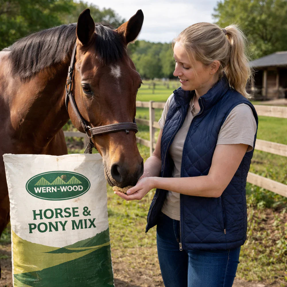 Animal Feeds