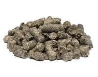 Sugar Beet