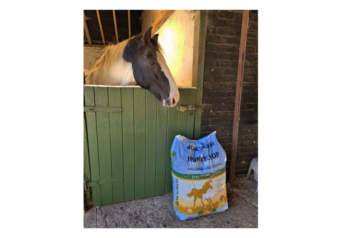 Honeychop Lite & Healthy