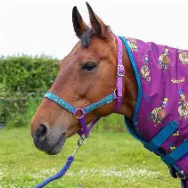 Thelwell Pony & Friends Head Collar and Lead Rope Set