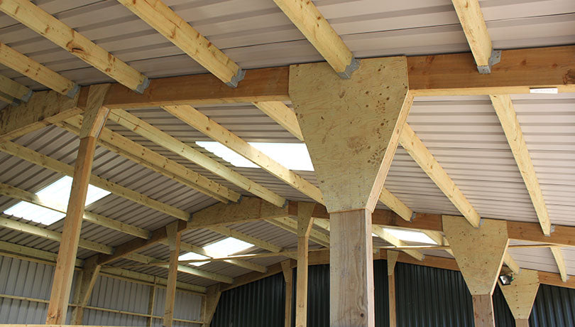 Treated Structural Purlins  9 x 3