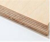 Birch Plywood