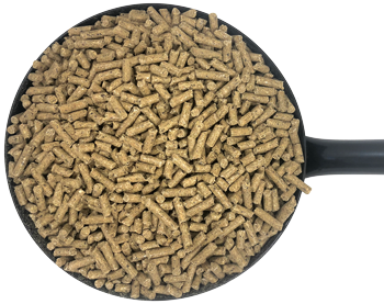 Dodson & Horrell Sixteen Plus Cubes Horse Feed manufacturer image