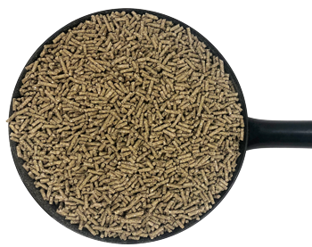 Dodson & Horrell Suregrow Horse Feed manufacturer image