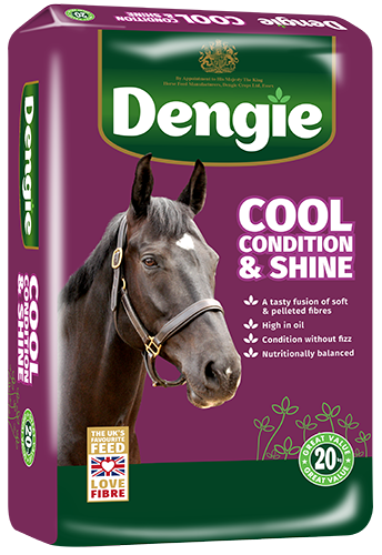 Dengie Cool, Condition & Shine manufacturer pack image
