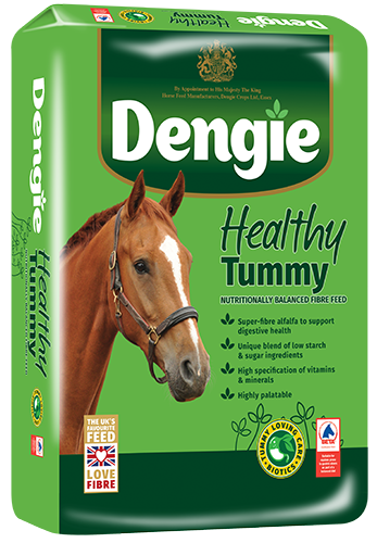 Dengie Healthy Tummy manufacturer pack image
