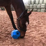 Parallax Snack & Play - 21cm