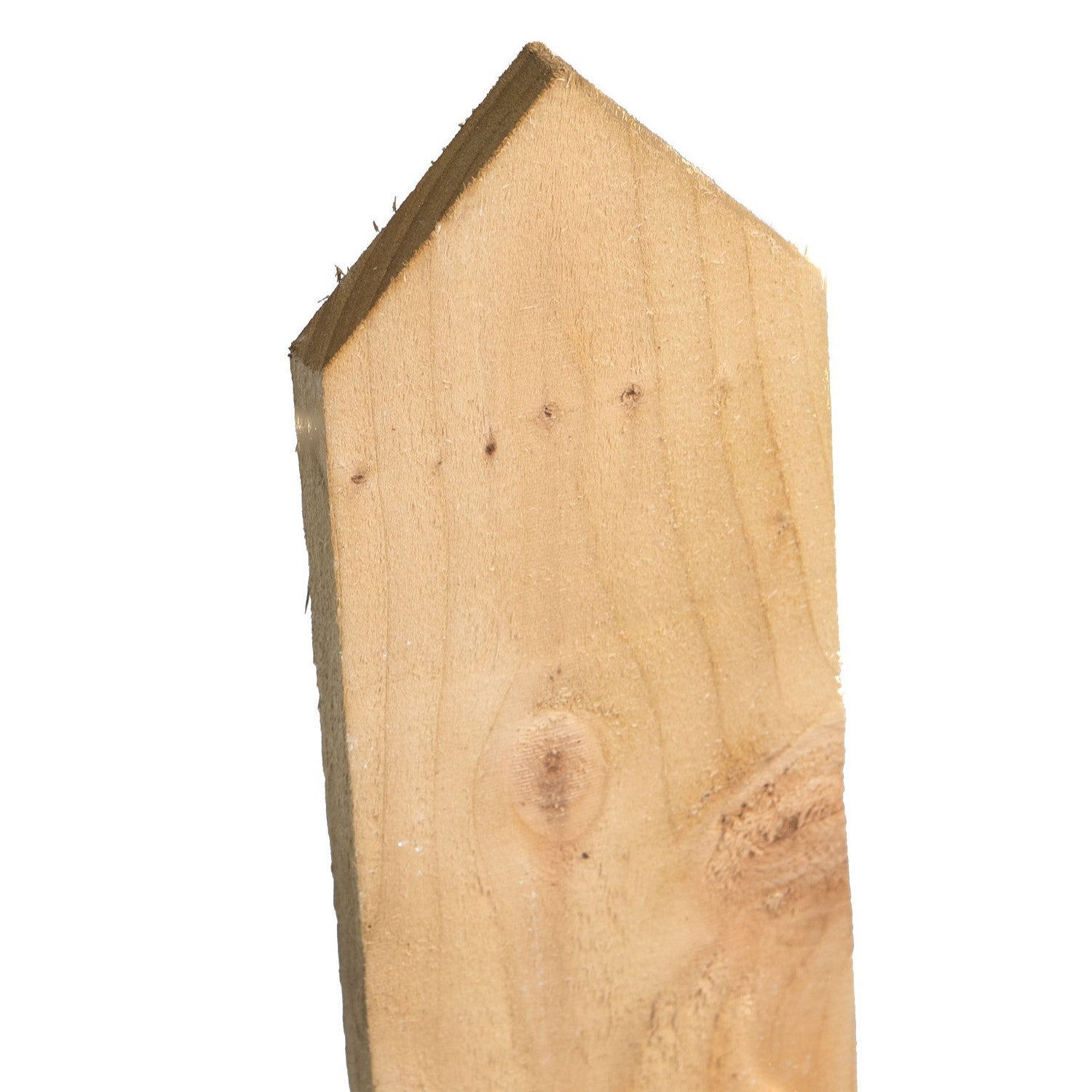 Treated Pointed Top Picket Fence Pale – 75mm x 18mm