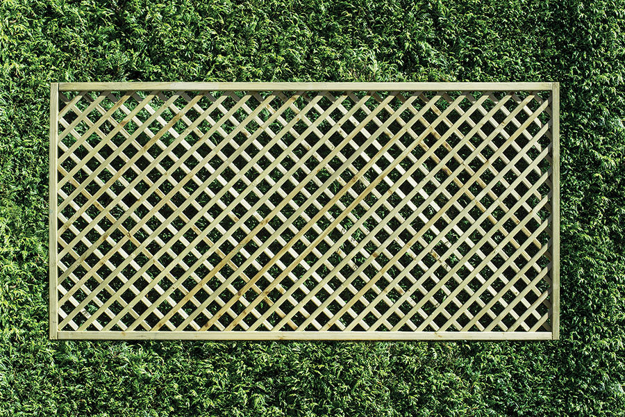Pressure treated rectangular diamond lattice trellis, DT10, 900mm high x 1830mm wide