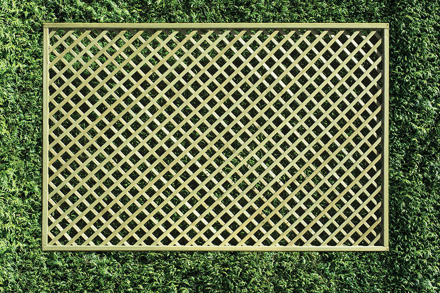 Pressure treated rectangular diamond lattice trellis, DT11, 1200mm high x 1830mm wide
