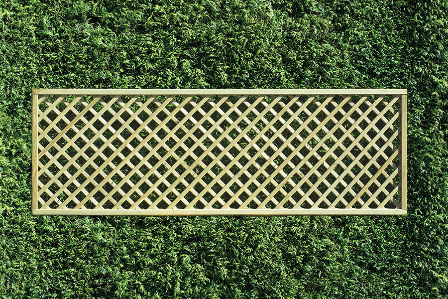 Pressure treated rectangular diamond lattice trellis, DT9, 600mm high x 1830mm wide