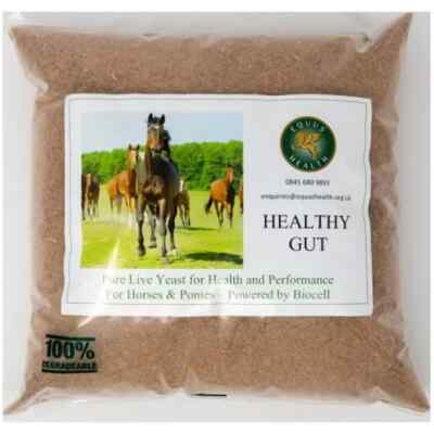 Equus Health - Healthy Gut 1kg